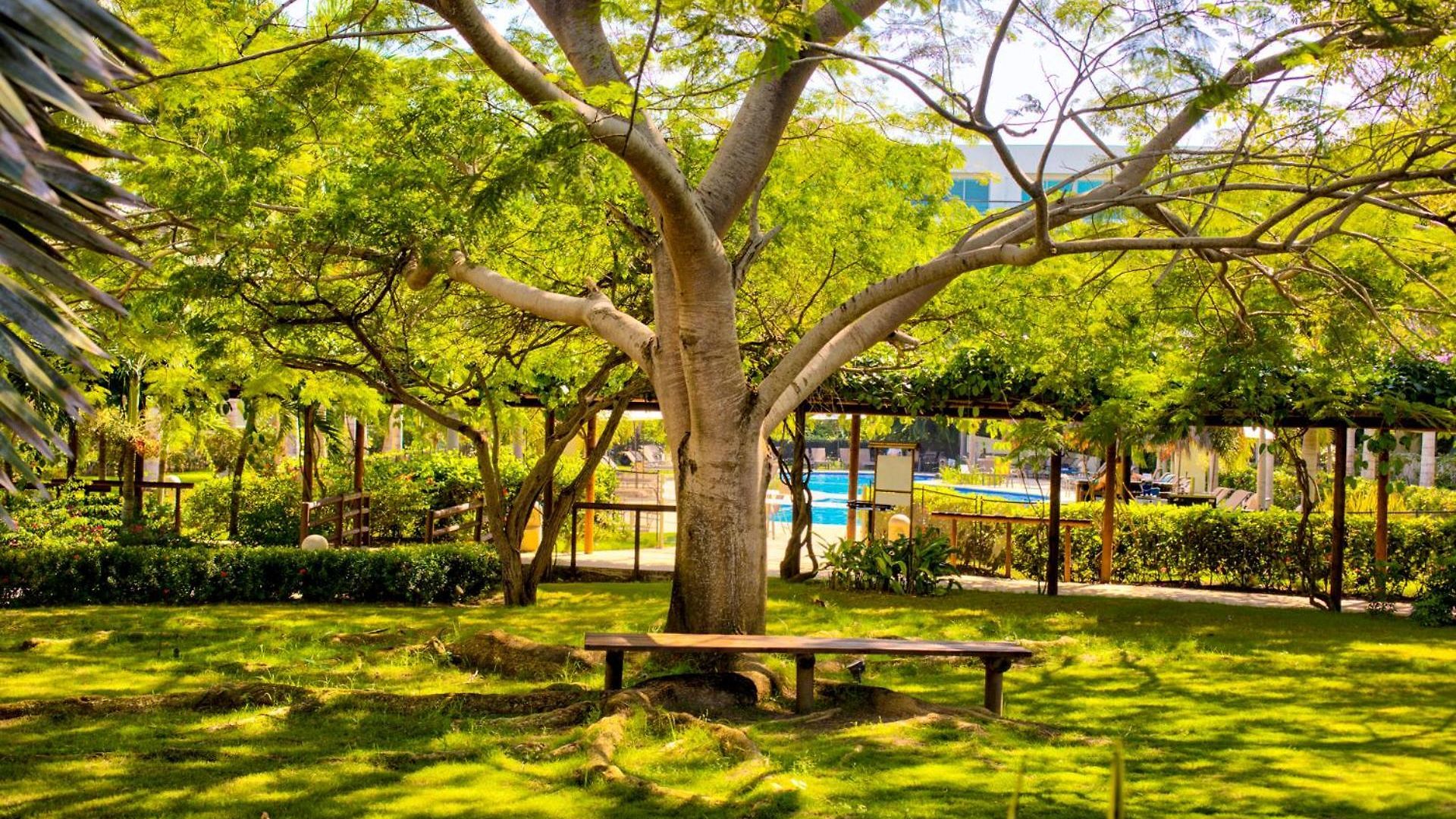 Estelar Playa Manzanillo Hotel 5*