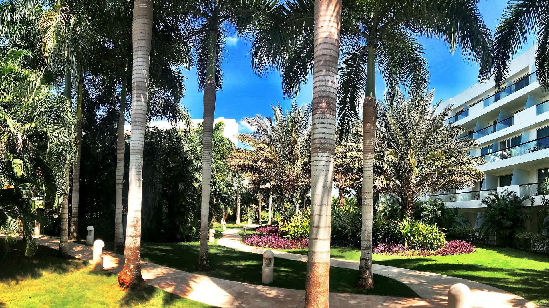 Estelar Playa Manzanillo Hotel 5*