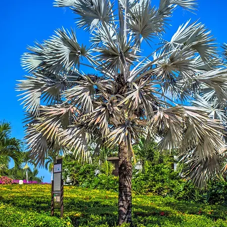 Estelar Playa Manzanillo Cartagena