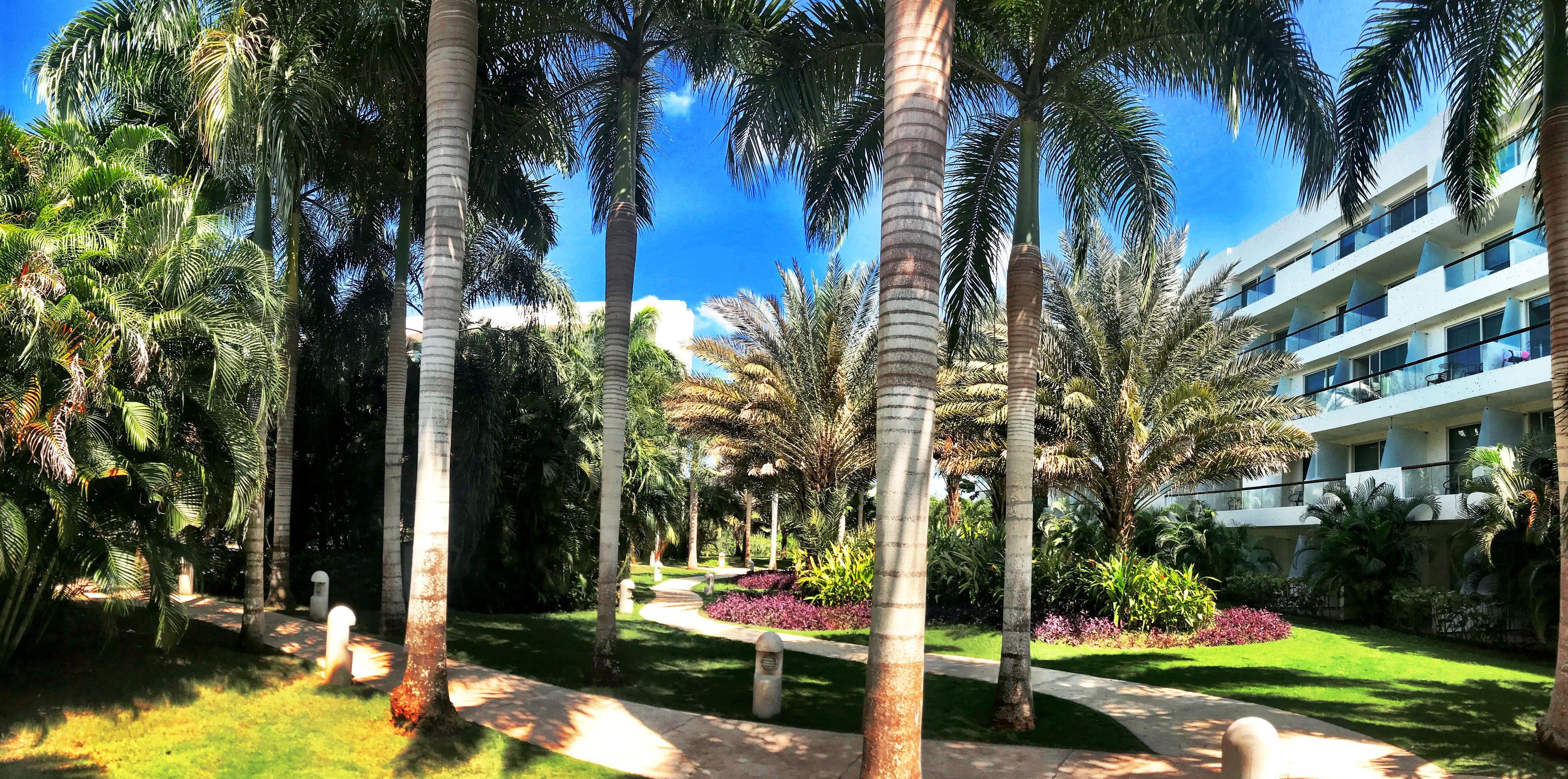 Estelar Playa Manzanillo Hotel 5*